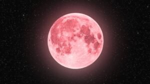 Strawberry Moon View