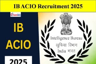 IB ACIO