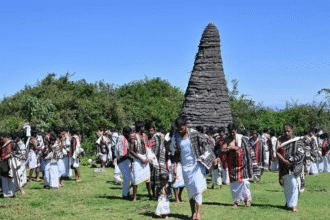 festival