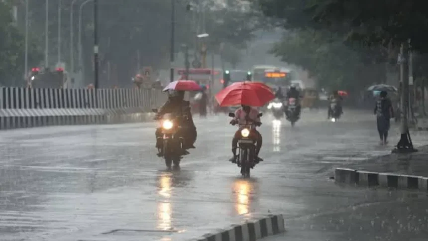 rain